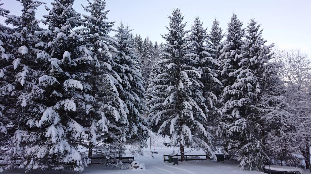 Am Kaltenbach - Spital Am Semmering, Stuhleck Ngoại thất bức ảnh
