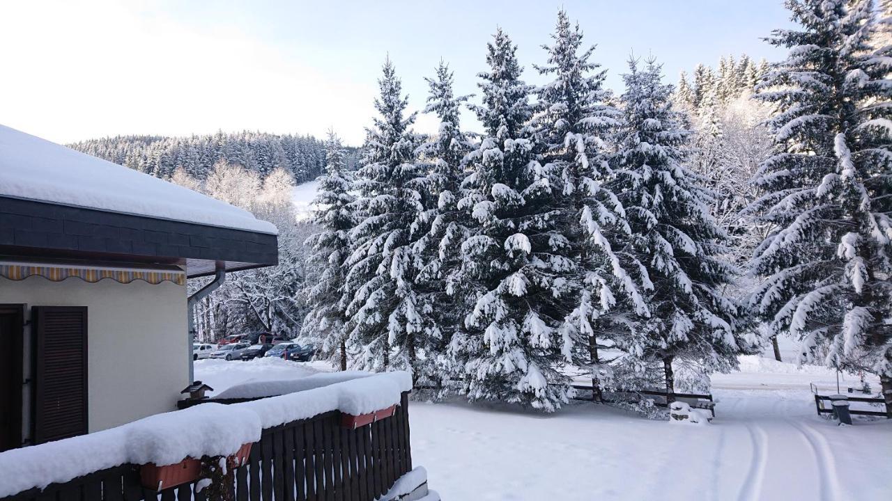 Am Kaltenbach - Spital Am Semmering, Stuhleck Ngoại thất bức ảnh