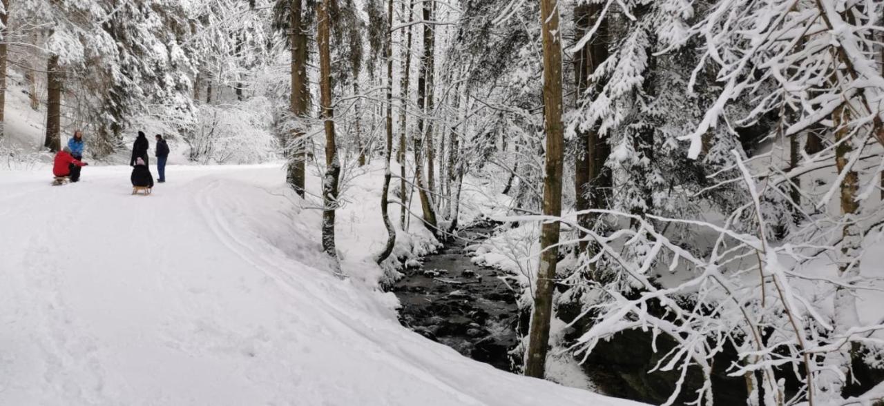 Am Kaltenbach - Spital Am Semmering, Stuhleck Ngoại thất bức ảnh