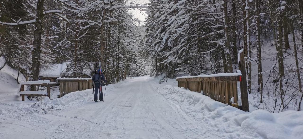 Am Kaltenbach - Spital Am Semmering, Stuhleck Ngoại thất bức ảnh